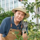 감사나무 이미지