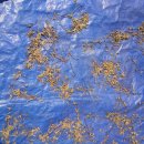 원영농장 이미지