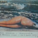 인어공주 이미지