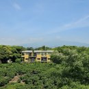 제주여자중학교 이미지