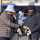 외항