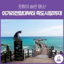블루포인트A | 포항 가볼만한곳 베스트10 구룡포 일본인가옥 영일대 해변 산책 알아보기