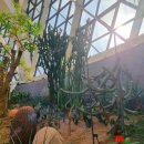 [여행]마곡나루 🌵서울식물원🌴 온실 내부 후기