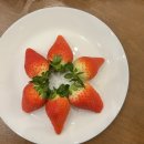 라미아까사플러스 이미지