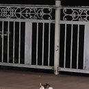 오버더마운틴 이미지