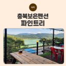 파인트리펜션 | 충북 보은 펜션, 대청호뷰 펜션 글램핑 가능한 펜션, 파인트리 방문 후기