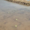 연 농장 이미지