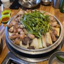 우와장창 이미지