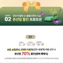 펫엘도라도 | 울릉도 배편 포항울릉도예약부터 할인정보 차량 선적 반려견 동반까지 최신 꿀팁 총정리