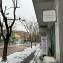 아트리미술교습소 | 아트블랑제이에서 성인취미미술 수채화 원데이클래스 고양이 그려 본 후기