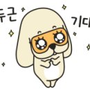 러브독 애견스쿨 이미지