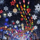 오빌 | [제목] 화천 산천어 축제 숙박 강추! 호텔급 시설에 삼계탕 서비스까지? '오빌펜션' 리얼 후기