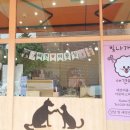 빛나개살롱 이미지