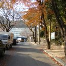 동수영중 앞 네이버블로그