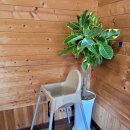 황제세꼬시 | 애니골맛집 황제해신탕능이백숙 일산 삼계탕 추천