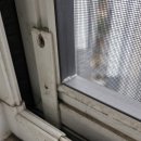 엠시티 | 🧹 동탄신도시 동탄역대방디엠시티더센텀 오피스텔 입주청소 후기 │ 동탄청소업체 양심청소