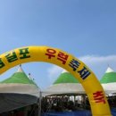 삼길포 선상어시장거리 이미지