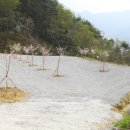 산애 캠핑장 이미지