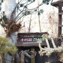오솔길농원 네이버블로그