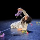 홍신자: 네 개의 벽 이미지