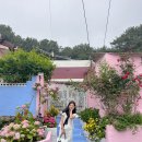 하리네집 | 부산 영도 3대 수국 명소 하리수국 , 분홍집 솔직 후기