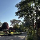 (주)평우서비스 오정점 | 김포공항 장기주차비 3일 주차 후기