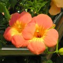 대실유치원 이미지