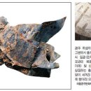신라모자