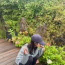 아미리1.9 이미지