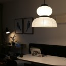 스테이시호일 이미지