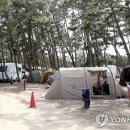 몽산포 해변 이미지