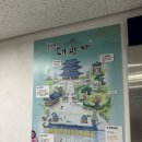 대광사 | 성남 분당 대광사 연등행사 후기