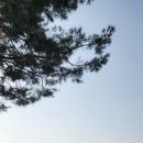 청계5가지하쇼핑센터 | 260114 종로 5.6가동, 동네골목길관광 10코스