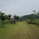 해평 금호리 이미지