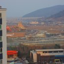 매화카센타 이미지