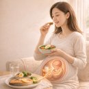“임신초기 ‘이건 피하세요’ 10개 + 안전 대체식 (진료실 기준으로 정리)”
