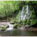지리산계곡 Daum카페