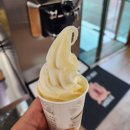 요거프레소 완주과학단지 | 완주봉동맛집 부담없이 즐기기 좋은 무한리필