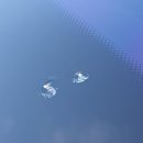 현대C.T카센타 | 현대자동차 그랜드스타렉스 전면유리교환 - 양천구 신월동 출장 서비스