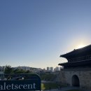 904 | 수원 행궁동 카페 팔레센트 후기, 수원화성 뷰 루프탑 카페 추천 ☕️