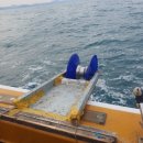 뉴월드안경 이미지