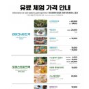 (온라인)쓰담쓰담 힐링 타로 | 제주도여행 2박3일 아이와함께 여행하기좋은 제주도 동쪽 에코랜드 테마파크 다녀왔어요.