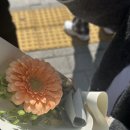 천월애기당 | 너를 위해 천 마리의 학을 접어 💓