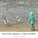 월출마을회 | 아기와 가볼만한 곳 강화도 동막해변 캠핑 물때 정보!