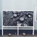 무릉외갓집영농조합법인 이미지