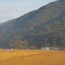 마리 진산마을 이미지