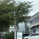 버스정류장_중앙로 (남고문 방면) | 제주 제주시 || 메이크업하멘 / 제주메이크업샵 웨딩뷰티 토탈샵 제주웨딩스냅 메이크업 후기