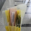 기동1 | 서일코 양재 2025 후기 ㅣ 일러스트 굿즈 카드스티커 &amp; 신분당선 기동카 사용 불가