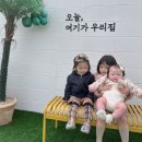 경주 어린이날 경주키즈풀빌라 빙키키즈풀빌라