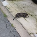 9월5일 금요일 운세~~♡ 이미지